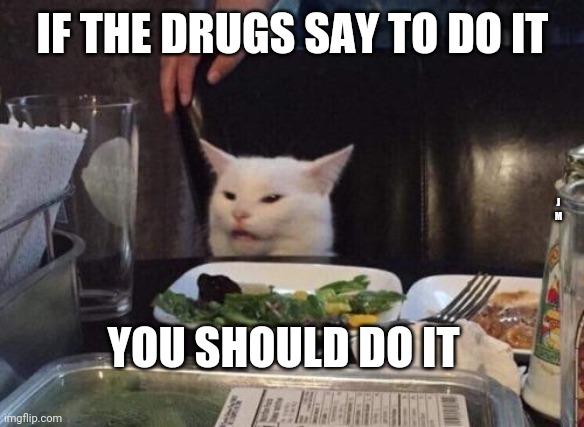 Salad cat | IF THE DRUGS SAY TO DO IT; J M; YOU SHOULD DO IT | image tagged in salad cat | made w/ Imgflip meme maker