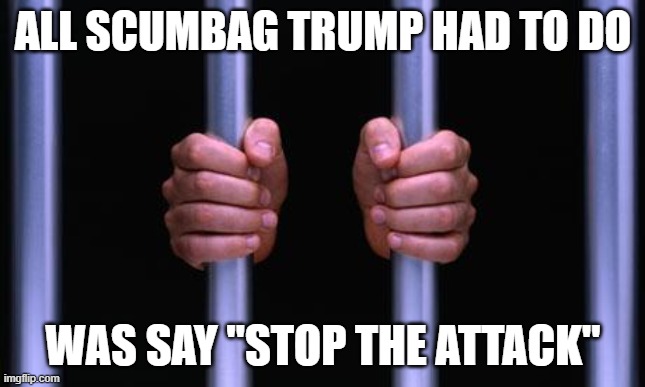 Trump belongs in prison for treason and accessory to murder | ALL SCUMBAG TRUMP HAD TO DO; WAS SAY "STOP THE ATTACK" | image tagged in memes,maga,lock him up,politics,riot,treason | made w/ Imgflip meme maker