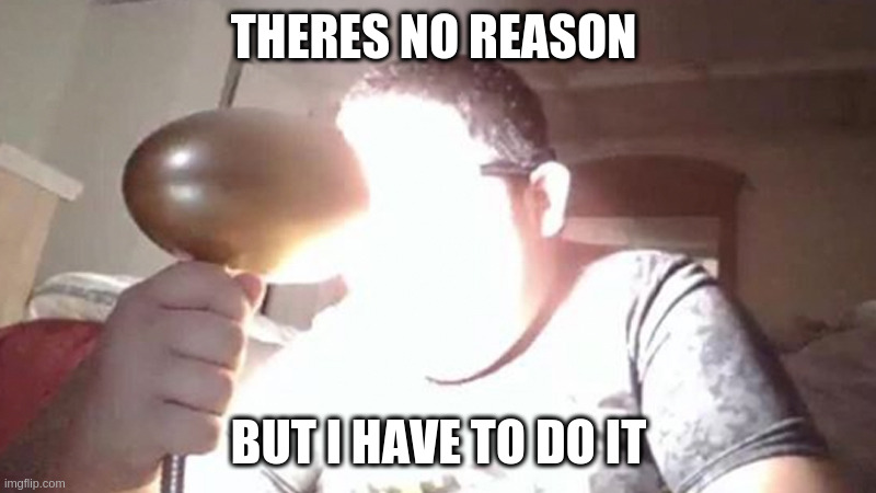 kid shining light into face | THERES NO REASON BUT I HAVE TO DO IT | image tagged in kid shining light into face | made w/ Imgflip meme maker