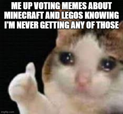 Sad cat meme | ME UP VOTING MEMES ABOUT MINECRAFT AND LEGOS KNOWING I'M NEVER GETTING ANY OF THOSE | image tagged in sad cat meme | made w/ Imgflip meme maker