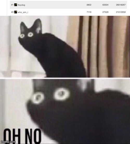 Oh god no | image tagged in oh no cat | made w/ Imgflip meme maker