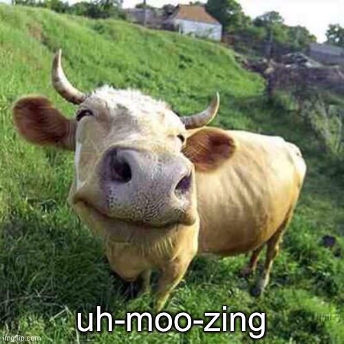 uh-moo-zing | made w/ Imgflip meme maker