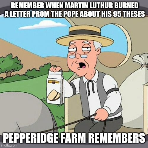 Pepperidge Farm Remembers Meme | REMEMBER WHEN MARTIN LUTHUR BURNED A LETTER PROM THE POPE ABOUT HIS 95 THESES; PEPPERIDGE FARM REMEMBERS | image tagged in memes,pepperidge farm remembers | made w/ Imgflip meme maker