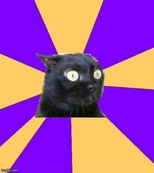 anxiety cat | image tagged in anxiety cat | made w/ Imgflip meme maker