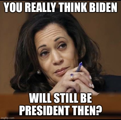 Kamala Harris  | YOU REALLY THINK BIDEN WILL STILL BE PRESIDENT THEN? | image tagged in kamala harris | made w/ Imgflip meme maker