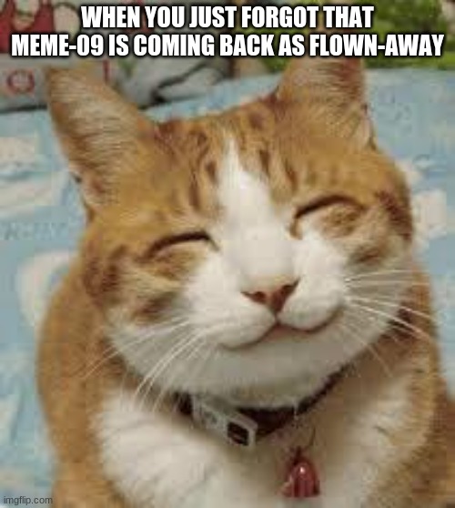 yes... IM BACK BABY | WHEN YOU JUST FORGOT THAT MEME-09 IS COMING BACK AS FLOWN-AWAY | image tagged in happy cat | made w/ Imgflip meme maker