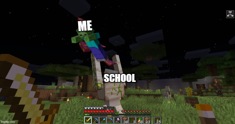 stupid school | ME; SCHOOL | image tagged in iron golem yeet | made w/ Imgflip meme maker