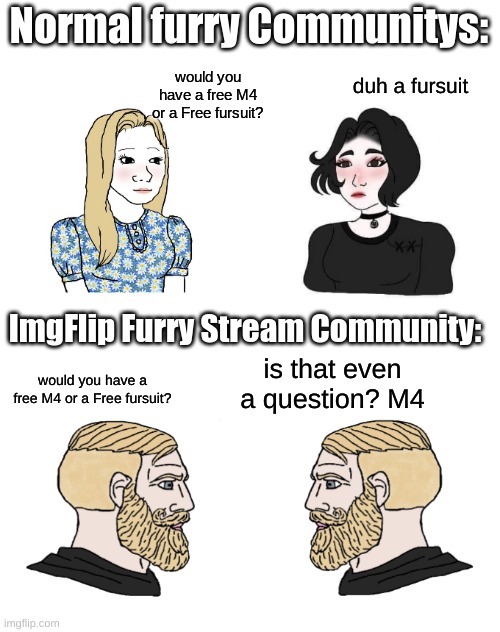 Boys girls | Normal furry Communitys:; would you have a free M4 or a Free fursuit? duh a fursuit; ImgFlip Furry Stream Community:; is that even a question? M4; would you have a free M4 or a Free fursuit? | image tagged in boys girls | made w/ Imgflip meme maker