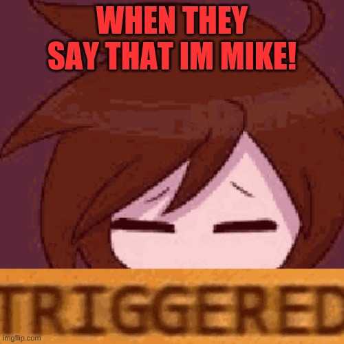 sorry not sorry | WHEN THEY SAY THAT IM MIKE! | image tagged in fnaf | made w/ Imgflip meme maker