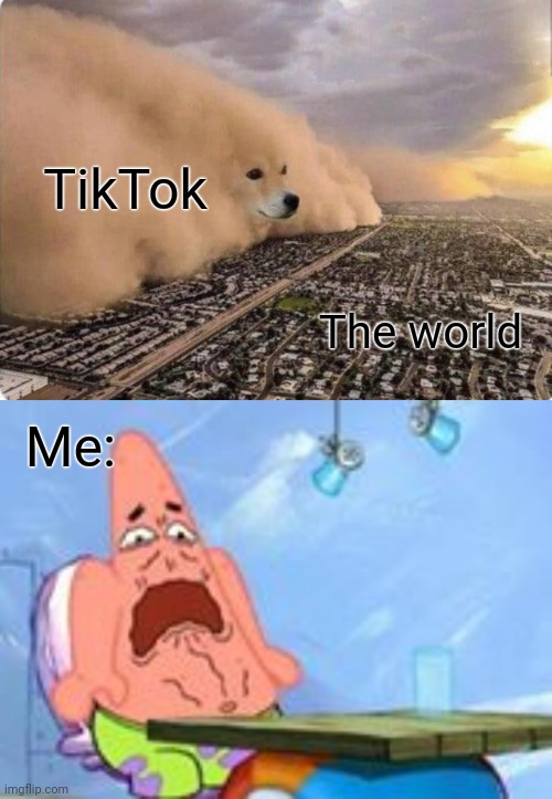 God help us | TikTok; The world; Me: | image tagged in memes,funny,tik tok sucks | made w/ Imgflip meme maker