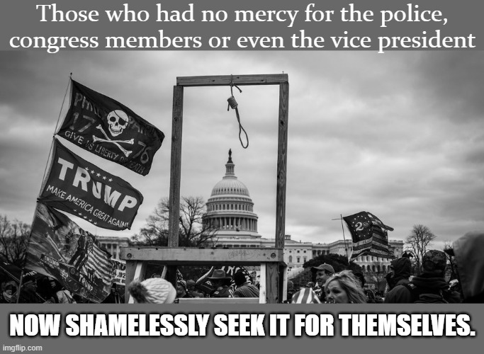 They have some nerve! | Those who had no mercy for the police, congress members or even the vice president; NOW SHAMELESSLY SEEK IT FOR THEMSELVES. | image tagged in capitol hill riot gallows,murder,arrested,hypocrites,traitors,qanon | made w/ Imgflip meme maker