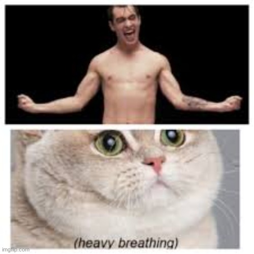 e | image tagged in e | made w/ Imgflip meme maker