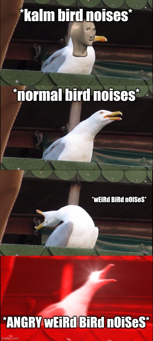 *brid noises* | *kalm bird noises*; *normal bird noises*; *wEiRd BiRd nOiSeS*; *ANGRY wEiRd BiRd nOiSeS* | image tagged in memes,inhaling seagull,funny memes,birds | made w/ Imgflip meme maker