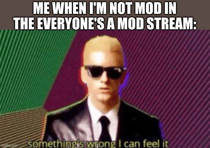 something's wrong i can feel it | ME WHEN I'M NOT MOD IN THE EVERYONE'S A MOD STREAM: | image tagged in something's wrong i can feel it | made w/ Imgflip meme maker