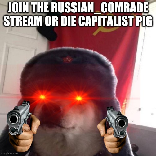 Join | JOIN THE RUSSIAN_COMRADE STREAM OR DIE CAPITALIST PIG | image tagged in russian doge | made w/ Imgflip meme maker