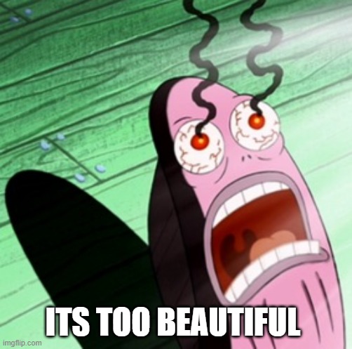 Burning eyes | ITS TOO BEAUTIFUL | image tagged in burning eyes | made w/ Imgflip meme maker