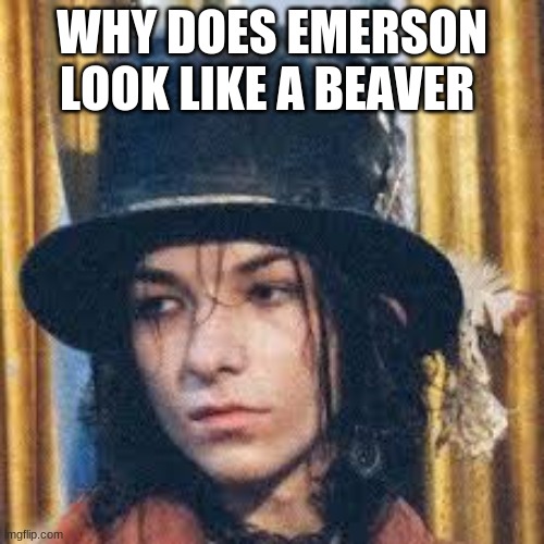 emo beaver | WHY DOES EMERSON LOOK LIKE A BEAVER | image tagged in emo beaver | made w/ Imgflip meme maker
