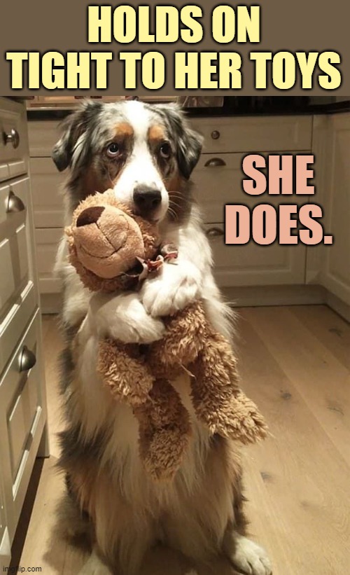 HOLDS ON TIGHT TO HER TOYS SHE DOES. | made w/ Imgflip meme maker