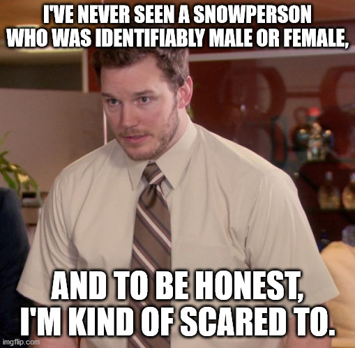 Afraid To Ask Andy Meme | I'VE NEVER SEEN A SNOWPERSON WHO WAS IDENTIFIABLY MALE OR FEMALE, AND TO BE HONEST, I'M KIND OF SCARED TO. | image tagged in memes,afraid to ask andy | made w/ Imgflip meme maker