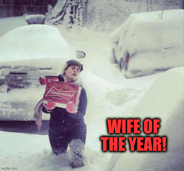 WIFE OF
THE YEAR! | image tagged in snow | made w/ Imgflip meme maker
