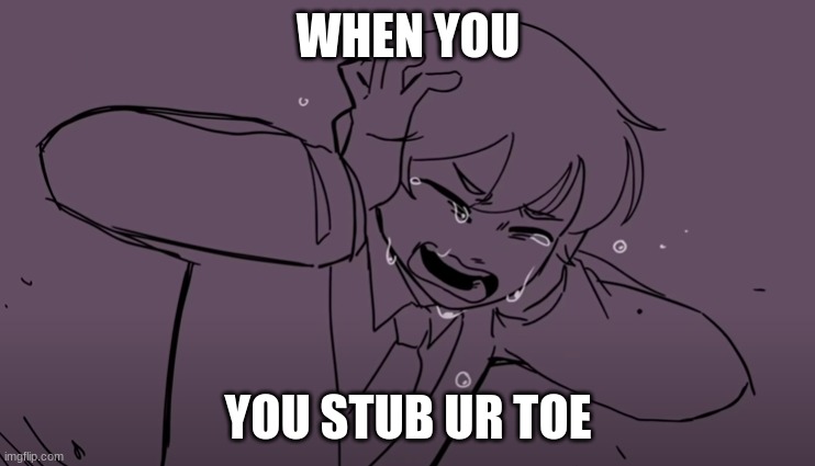 crying tubbo cries | WHEN YOU; YOU STUB UR TOE | image tagged in crying tubbo | made w/ Imgflip meme maker