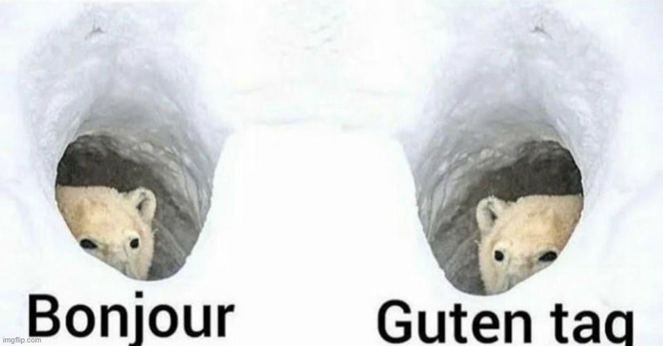 Bonjour Guten tag | image tagged in bonjour guten tag | made w/ Imgflip meme maker