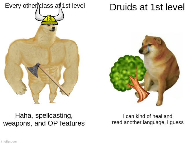 it only starts getting good for druids at 2nd level | Every other class at 1st level; Druids at 1st level; Haha, spellcasting, weapons, and OP features; i can kind of heal and read another language, i guess | image tagged in memes,buff doge vs cheems,dnd | made w/ Imgflip meme maker