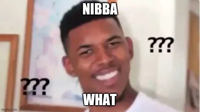 NIBBA; WHAT | image tagged in what | made w/ Imgflip meme maker