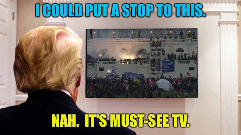 I COULD PUT A STOP TO THIS. NAH.  IT'S MUST-SEE TV. | image tagged in trump watching tv | made w/ Imgflip meme maker
