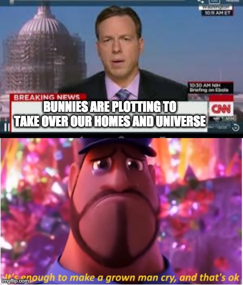 BUNNIES ARE PLOTTING TO TAKE OVER OUR HOMES AND UNIVERSE | image tagged in braking news,it's enough to make a grown man cry and that's ok | made w/ Imgflip meme maker