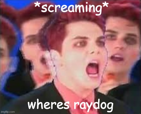 Gerard screaming | wheres raydog | image tagged in gerard screaming | made w/ Imgflip meme maker