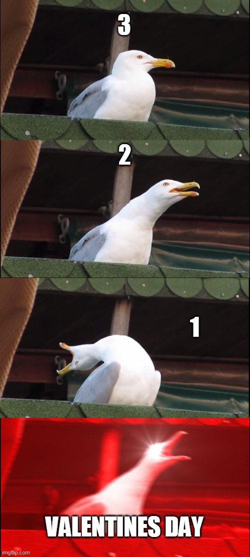 3 days till Valentines Day | 3; 2; 1; VALENTINES DAY | image tagged in memes,inhaling seagull,valentine's day,counting | made w/ Imgflip meme maker
