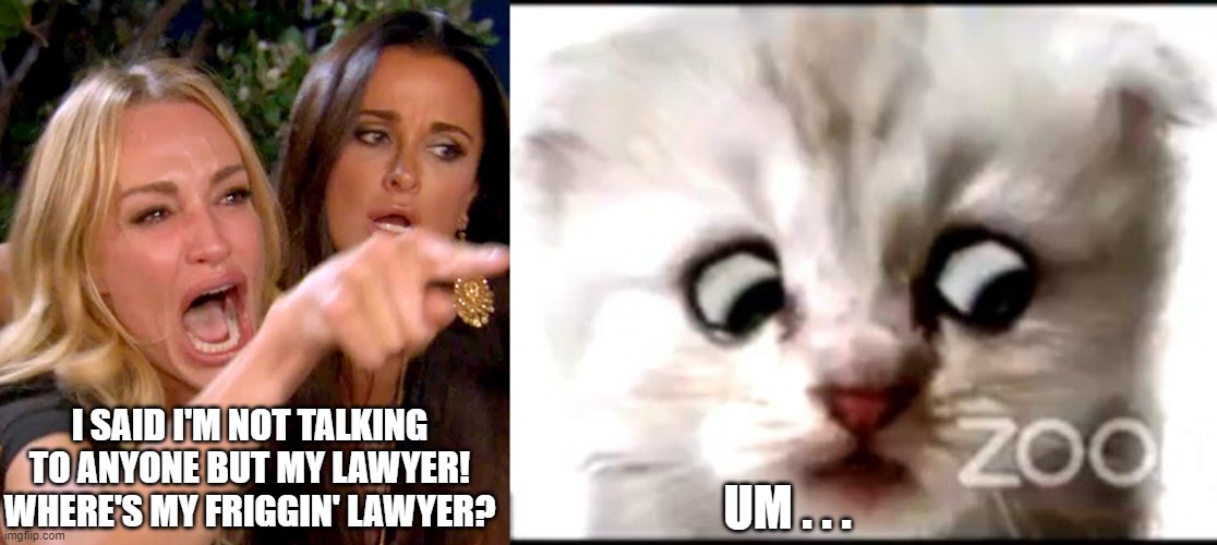 I SAID I'M NOT TALKING TO ANYONE BUT MY LAWYER! WHERE'S MY FRIGGIN' LAWYER? UM . . . | image tagged in taylor's lawyer | made w/ Imgflip meme maker