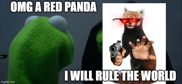 OH NO RED PANDA | OMG A RED PANDA; I WILL RULE THE WORLD | image tagged in memes,evil kermit | made w/ Imgflip meme maker