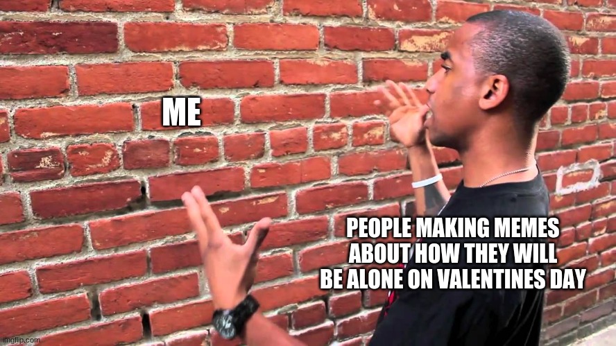 Talking to a wall | ME; PEOPLE MAKING MEMES ABOUT HOW THEY WILL BE ALONE ON VALENTINES DAY | image tagged in talking to a wall | made w/ Imgflip meme maker