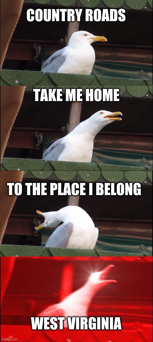 Inhaling Seagull | COUNTRY ROADS; TAKE ME HOME; TO THE PLACE I BELONG; WEST VIRGINIA | image tagged in memes,inhaling seagull | made w/ Imgflip meme maker