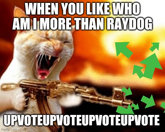 who am i is awsome | WHEN YOU LIKE WHO AM I MORE THAN RAYDOG; UPVOTEUPVOTEUPVOTEUPVOTE | image tagged in machine gun cat | made w/ Imgflip meme maker