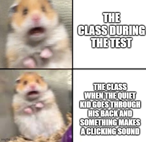 Test Tuesday, am I right? | THE CLASS DURING THE TEST; THE CLASS WHEN THE QUIET KID GOES THROUGH HIS BACK AND SOMETHING MAKES A CLICKING SOUND | image tagged in scared hamster | made w/ Imgflip meme maker