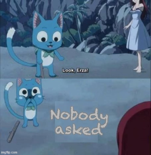 Fairy Tail nobody asked | image tagged in fairy tail nobody asked | made w/ Imgflip meme maker