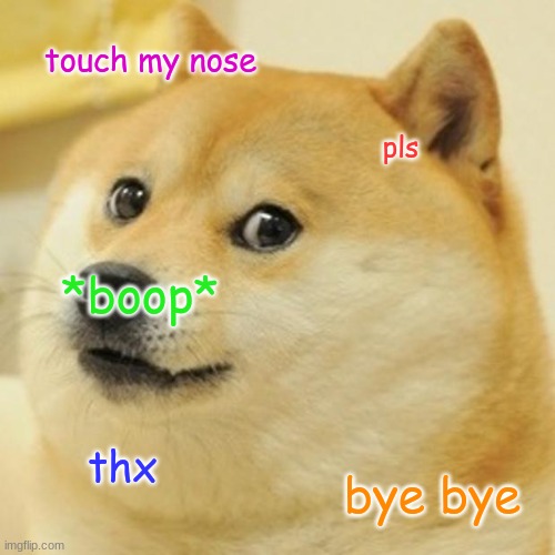 Doge Meme | touch my nose pls *boop* thx bye bye | image tagged in memes,doge | made w/ Imgflip meme maker