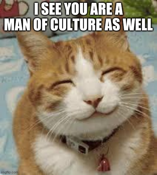 Happy cat | I SEE YOU ARE A MAN OF CULTURE AS WELL | image tagged in happy cat | made w/ Imgflip meme maker