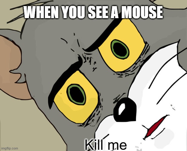 A mouse | WHEN YOU SEE A MOUSE; Kill me | image tagged in memes,unsettled tom | made w/ Imgflip meme maker