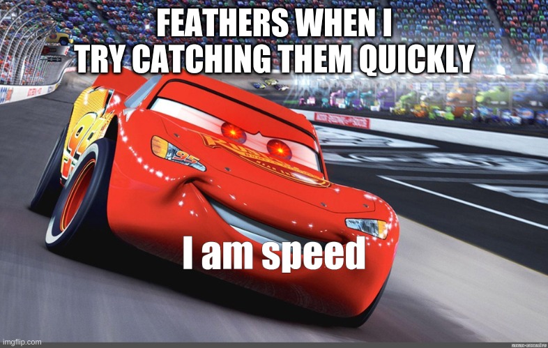 I am speed | FEATHERS WHEN I TRY CATCHING THEM QUICKLY | image tagged in i am speed | made w/ Imgflip meme maker