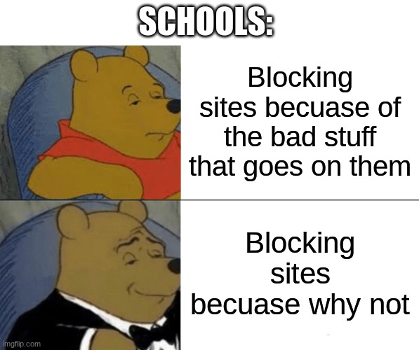 DIscord just got blocked v_v | SCHOOLS:; Blocking sites becuase of the bad stuff that goes on them; Blocking sites becuase why not | image tagged in memes,tuxedo winnie the pooh | made w/ Imgflip meme maker