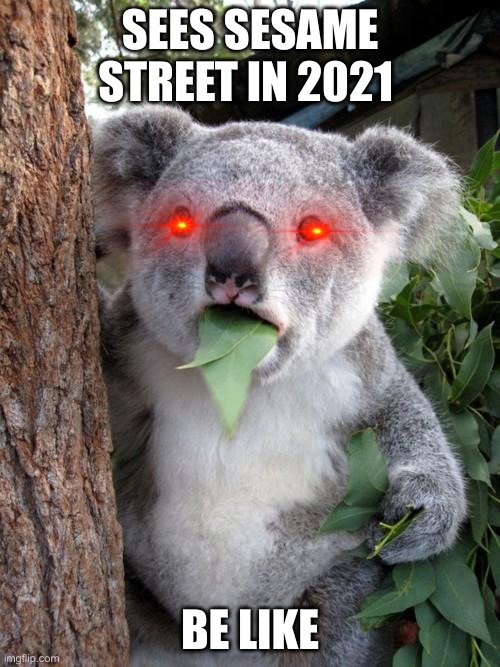 Surprised Koala Meme |  SEES SESAME STREET IN 2021; BE LIKE | image tagged in memes,surprised koala | made w/ Imgflip meme maker