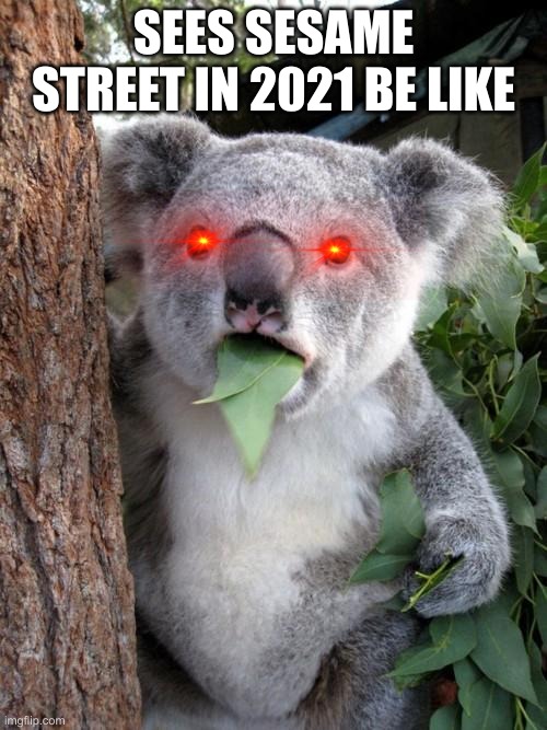 Sesame street is wrong | SEES SESAME STREET IN 2021 BE LIKE | image tagged in memes,surprised koala | made w/ Imgflip meme maker
