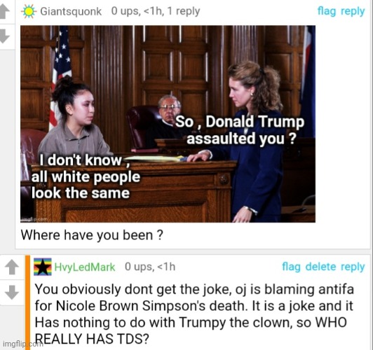 TDS DOES EXISTS, confirmed.  This post is a comment left on a meme, of course they had to mention orangman | image tagged in tds | made w/ Imgflip meme maker