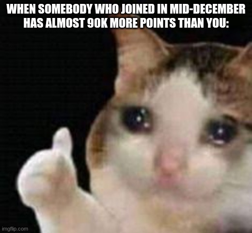 Approved crying cat | WHEN SOMEBODY WHO JOINED IN MID-DECEMBER HAS ALMOST 90K MORE POINTS THAN YOU: | image tagged in approved crying cat | made w/ Imgflip meme maker