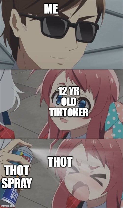 just wanna say i like tiktok and imgflip so dont hate me lol |  ME; 12 YR OLD TIKTOKER; THOT; THOT SPRAY | image tagged in pepper spray girl anime | made w/ Imgflip meme maker