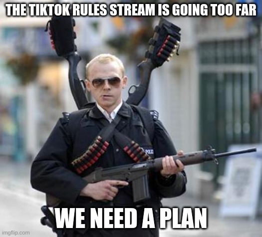 guy walking with shotguns movie | THE TIKTOK RULES STREAM IS GOING TOO FAR; WE NEED A PLAN | image tagged in guy walking with shotguns movie | made w/ Imgflip meme maker